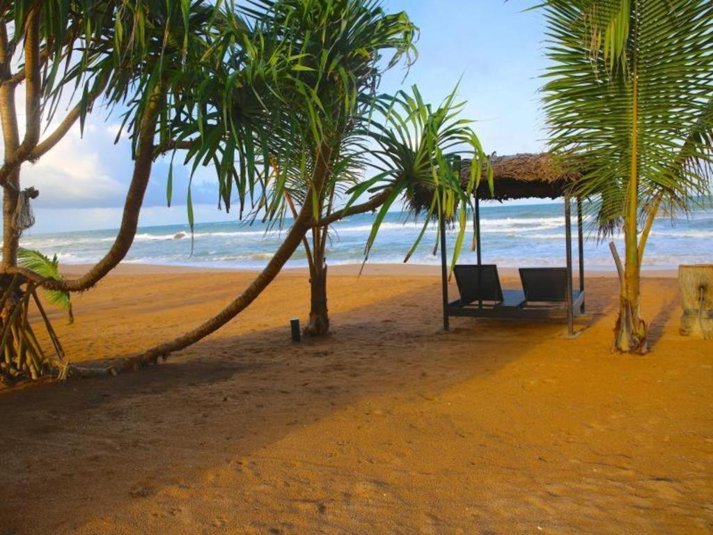 Whispering Palms Hotel Bentota Kültér fotó